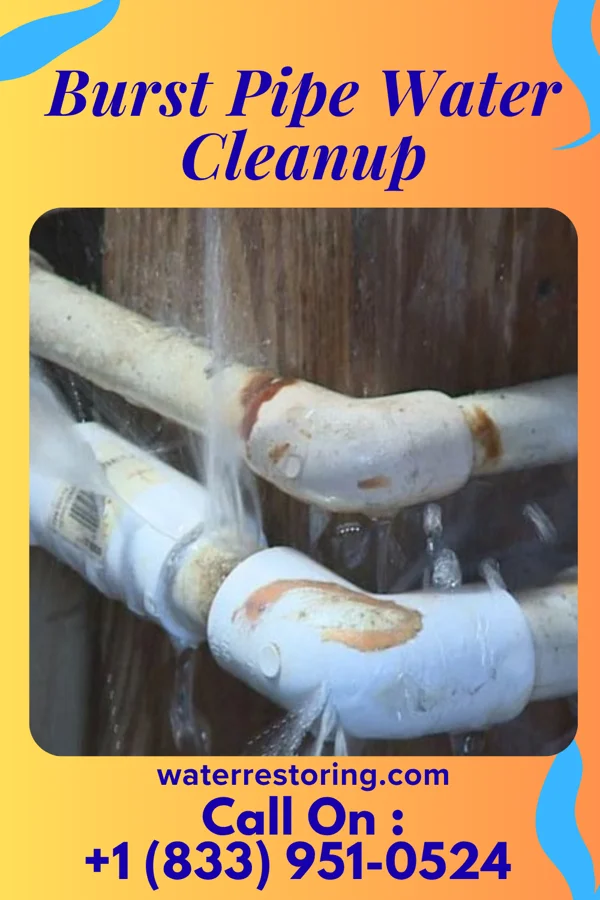 Burst Pipe Water Cleanup in Seagrove, NC
