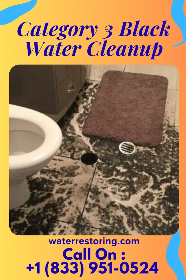 Category 3 Black Water Cleanup in Seagrove, NC