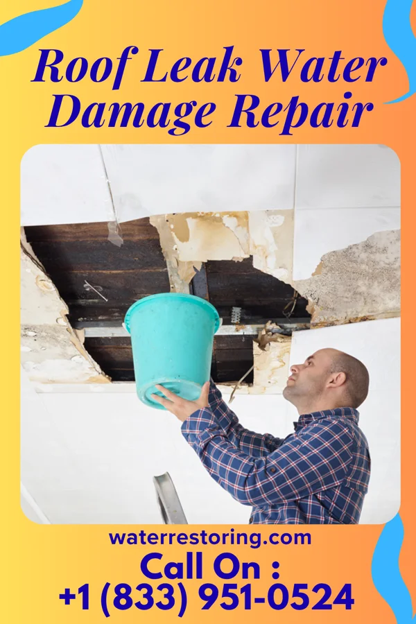 Roof Leak Water Damage Repair in Seagrove, NC
