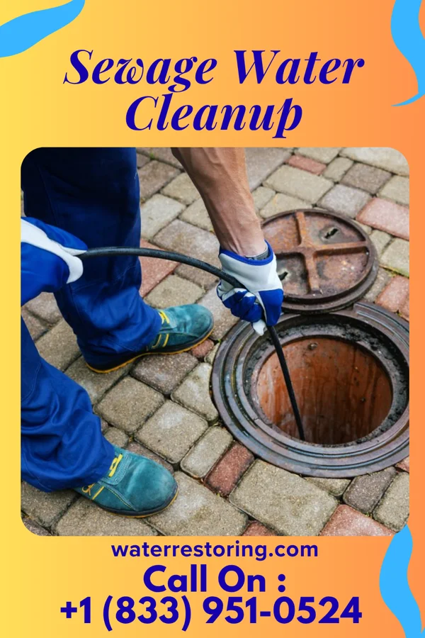 Sewage Water Cleanup in Seagrove, NC